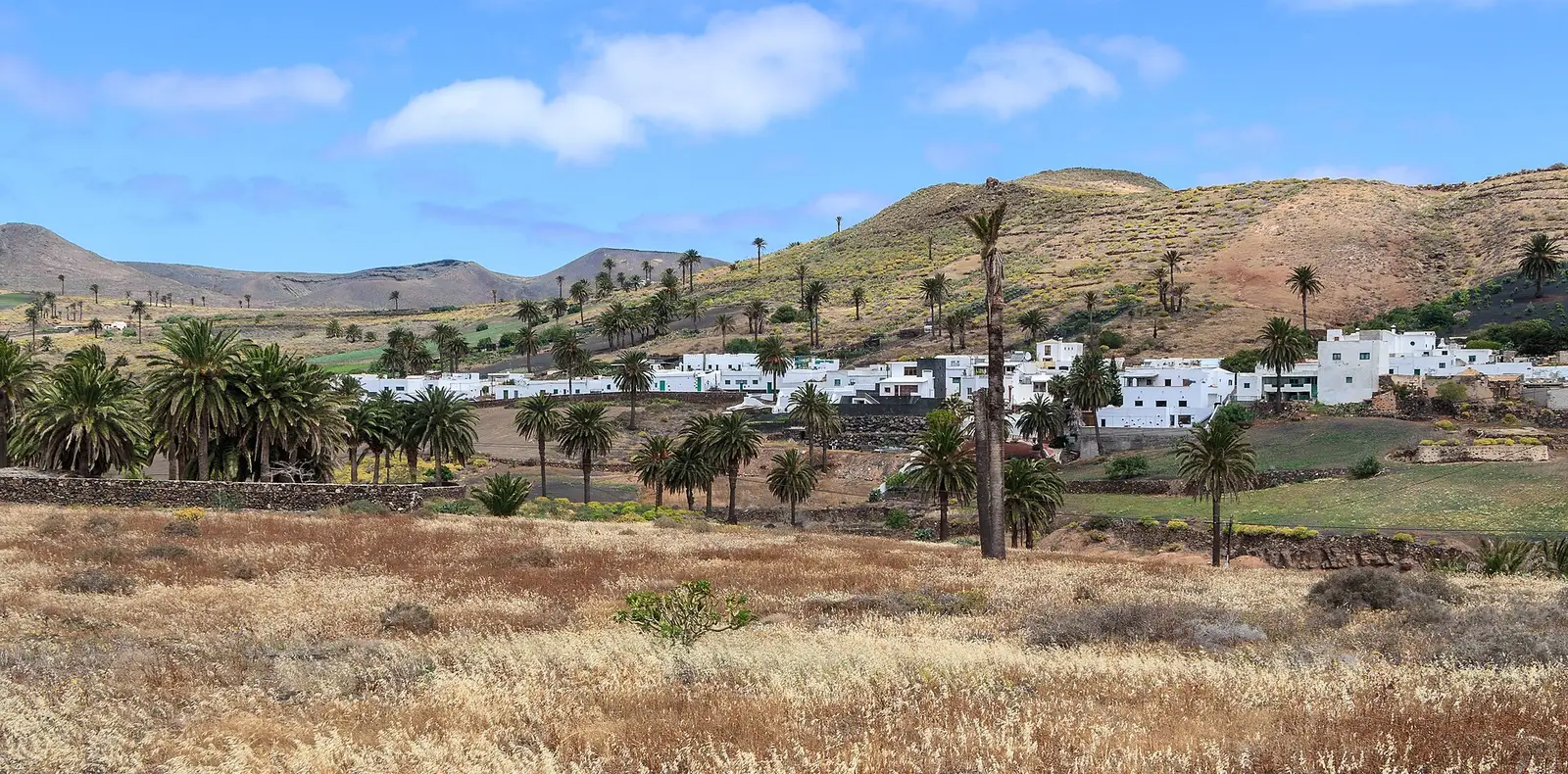 Haría, Lanzarote