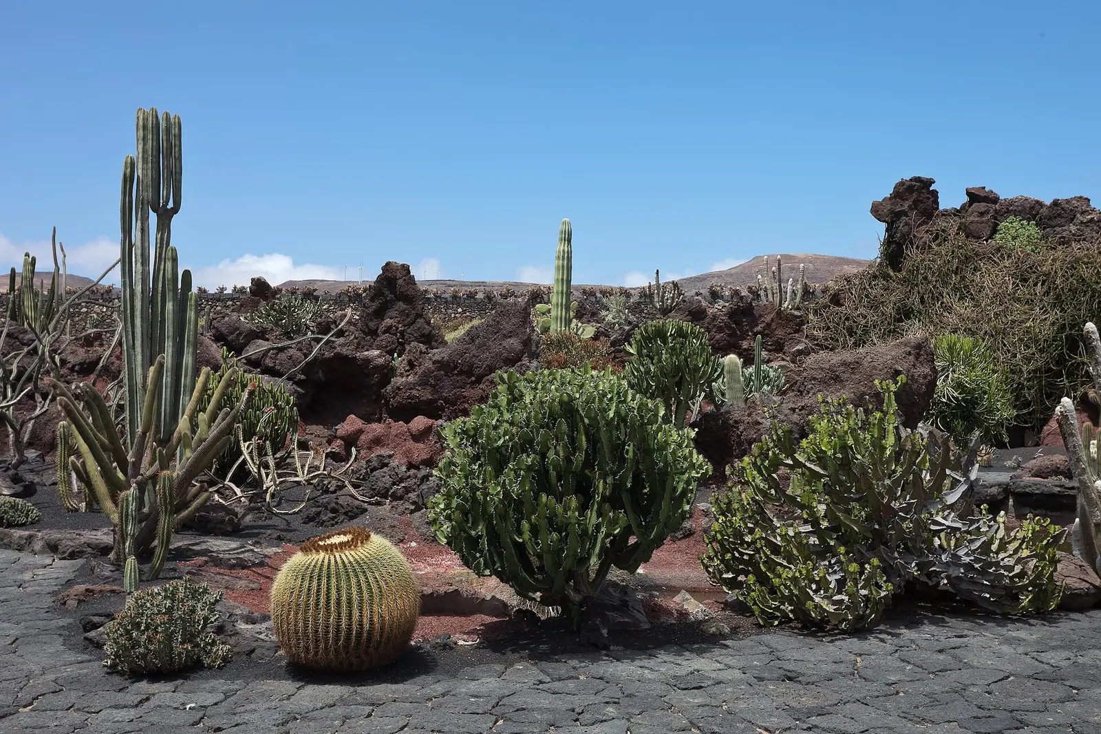 Jardín de Cactus, Lanzarote